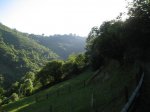 IMG_4002.JPG