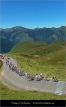 tdf12st22-tall.jpg