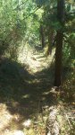 DSC_0155.jpg