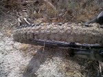 IMG-20120727-00023 2.jpg