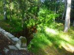 Foto9.JPG