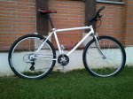 Bici7.jpg