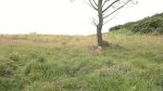 280720121667.jpg