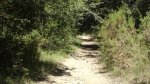DSC04808.jpg