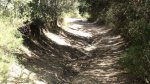 DSC04809.jpg