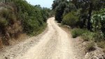 DSC04811.jpg