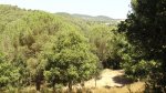 DSC04815.jpg