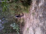 IMG-20120729-00072.jpg