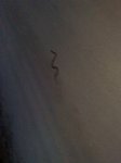 280720121301.jpg