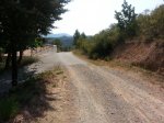 20120729_110020 [800x600].jpg