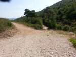 20120729_113457 [800x600].jpg