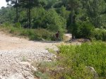 20120729_113628 [800x600].jpg