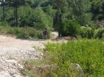 20120729_113631 [800x600].jpg