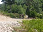 20120729_113642 [800x600].jpg