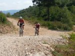 20120729_113651 [800x600].jpg