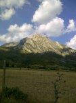 IMG-20120729-WA0003.jpg