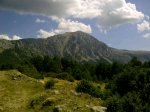 IMG-20120729-WA0005.jpg