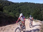 20120729_105720_1024x768.jpg