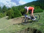 IMG00429-20120729-1027.jpg