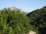 IMG_4003.JPG
