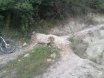 220720125063_1024x768.jpg