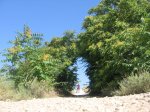 IMG_0068.JPG