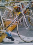 Bici Tinley 85.jpg