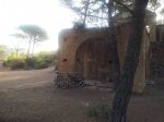 20120729_081708.jpg