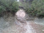 220720125067_1024x768.jpg