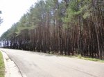 DSC01600.JPG