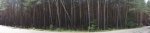 DSC01601.JPG