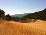 la foto 5 (16).JPG