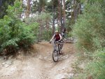 IMG_0042.jpg