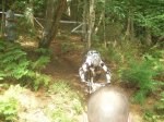 DSCN1102.JPG