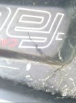 IMG_20120731_122051.jpg