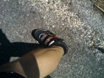 IMG_20120731_130554.jpg