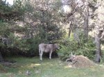 DSC01665.JPG