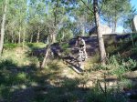 DSC00179.JPG