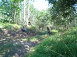 DSC00183.JPG