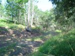 DSC00188.JPG