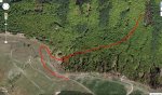 sendero belar zihartza.JPG