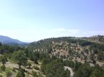 DSC00376.JPG