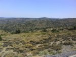 DSC00384.JPG