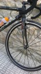 2012-07-19-011_338x600.jpg