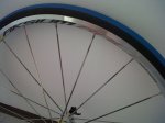 IMG-20120803-00255.jpg