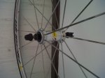 IMG-20120803-00256.jpg