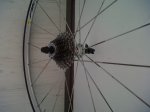 IMG-20120803-00257.jpg
