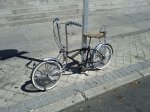IMG_20120803_162348.jpg