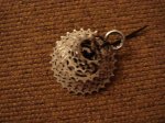 dsc02928t.jpg