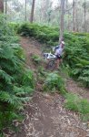 DSC00282.JPG